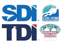 TDI SDI