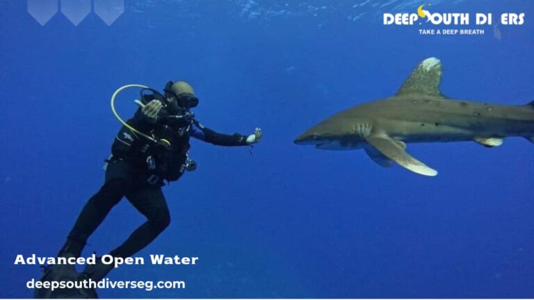 Advanced Open Water Course in Marsa Alam