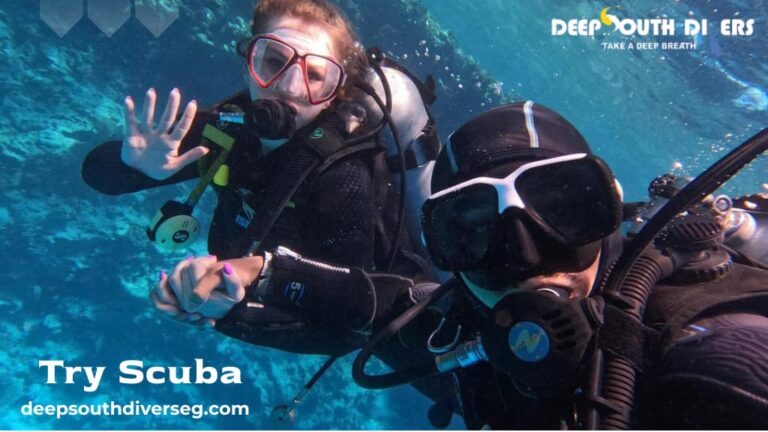 Try Scuba Diving in Marsa Alam