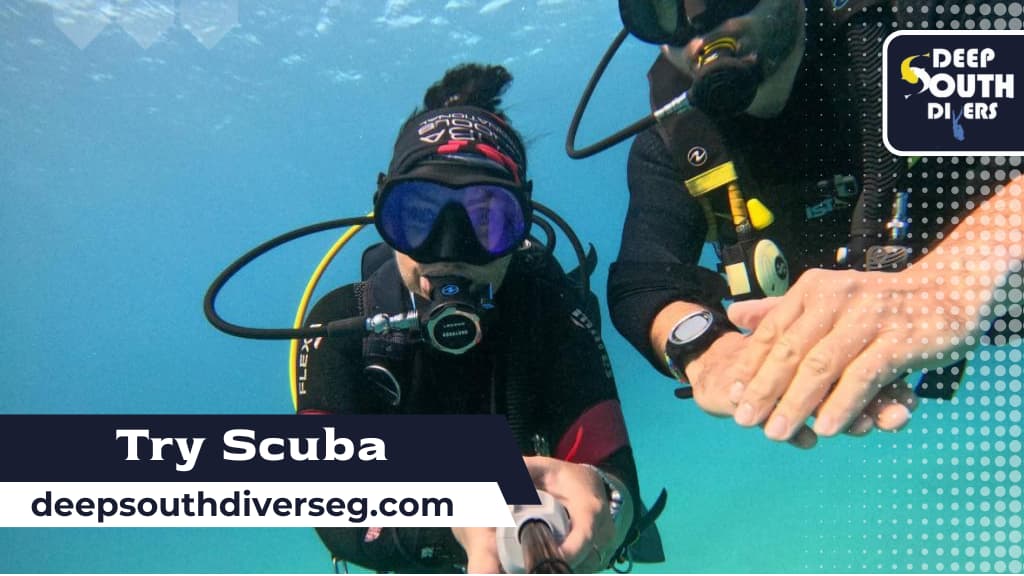 Try Scuba Diving in Marsa Alam