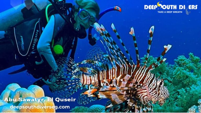 Abu Sawatyr, El Quseir