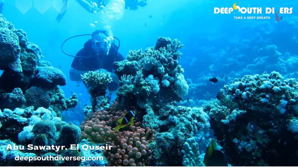 Abu Sawatyr, El Quseir