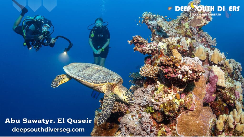 Abu Sawatyr, El Quseir