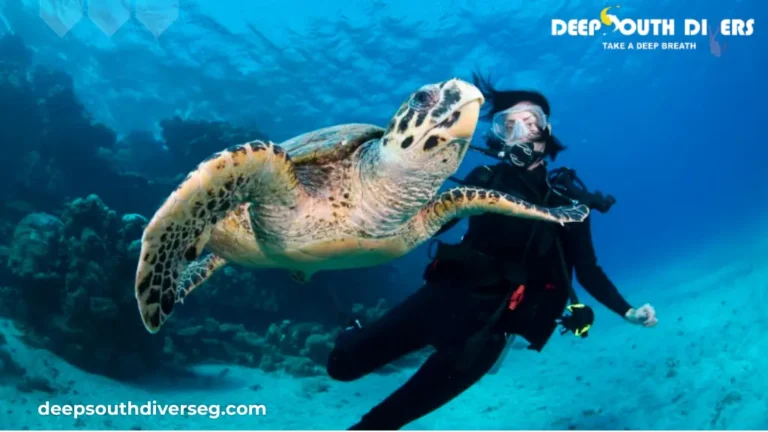 Top 10 Tips for First-Time Divers in Marsa Alam