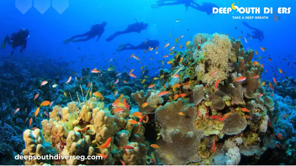 Top 10 Tips for First-Time Divers in Marsa Alam