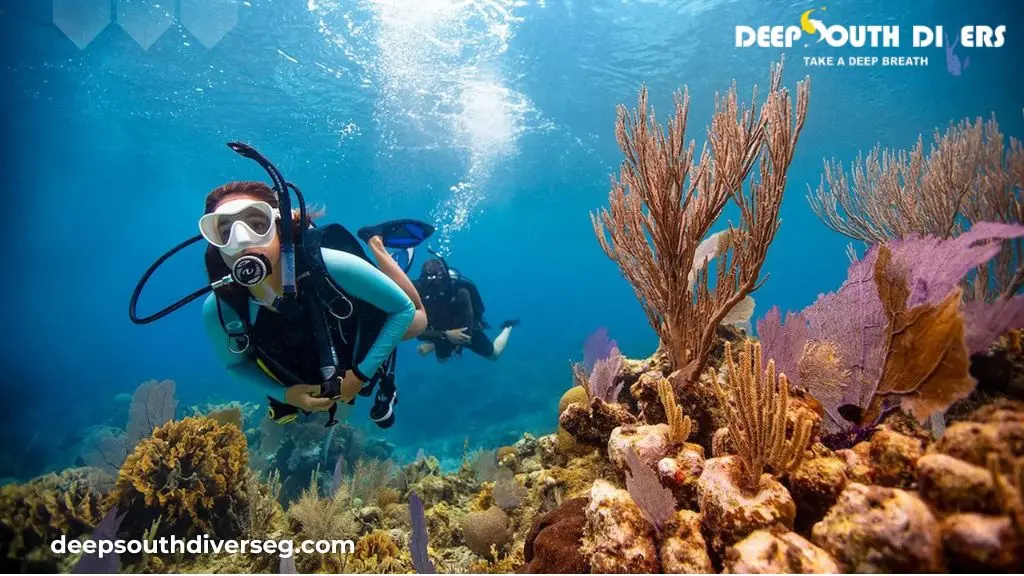 Why El Quseir is Egypt's Hidden Gem for Diving Holidays