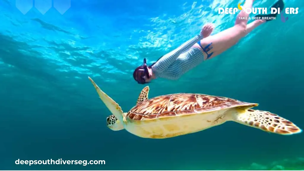 Top 10 Tips for First-Time Divers in Marsa Alam