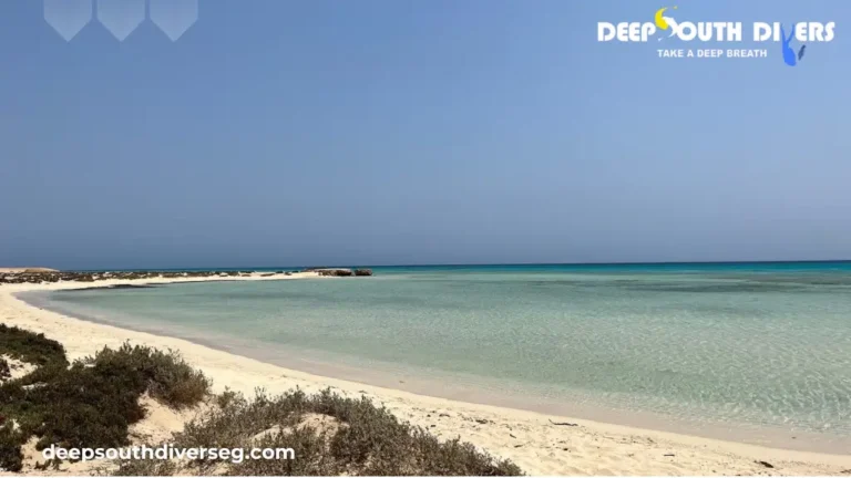 Sharm El Luli: The Complete Guide to Egypt's Hidden Maldives Beach