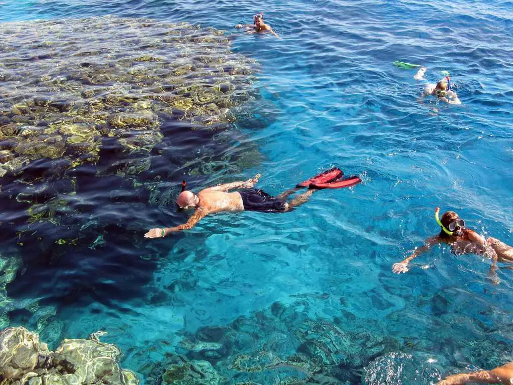 Snorkeling Marsa Alam