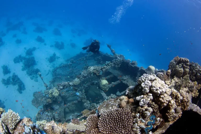 Abu Galawa Kebir: The Complete Diving Guide to the Fury Shoal's Coral-Clad Wreck
