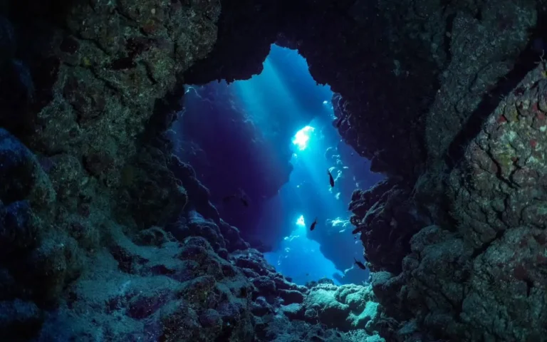 Claudia Reef: The Complete Diver's Guide to Sha'ab Claudia in the Red Sea
