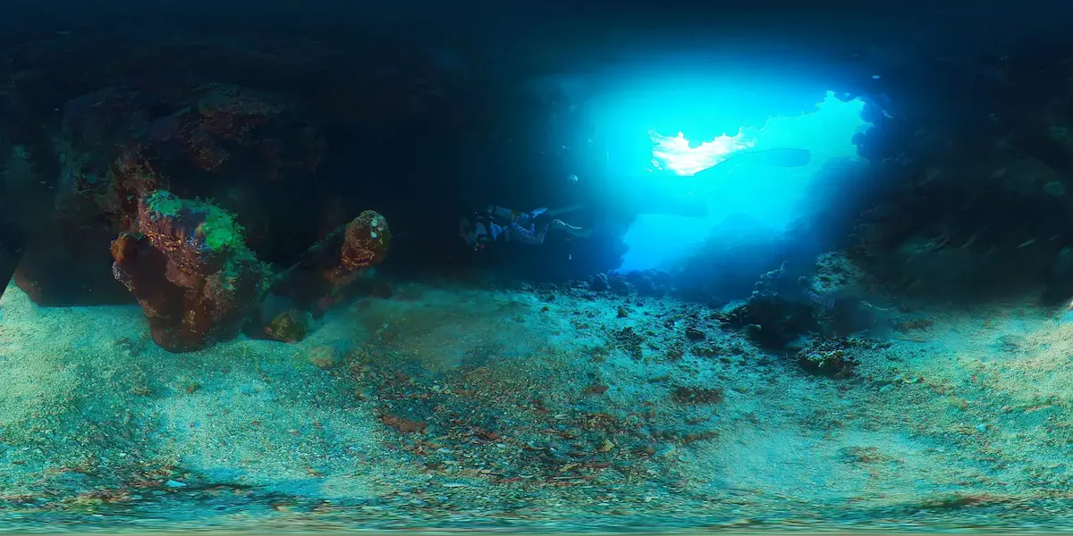 Claudia Reef