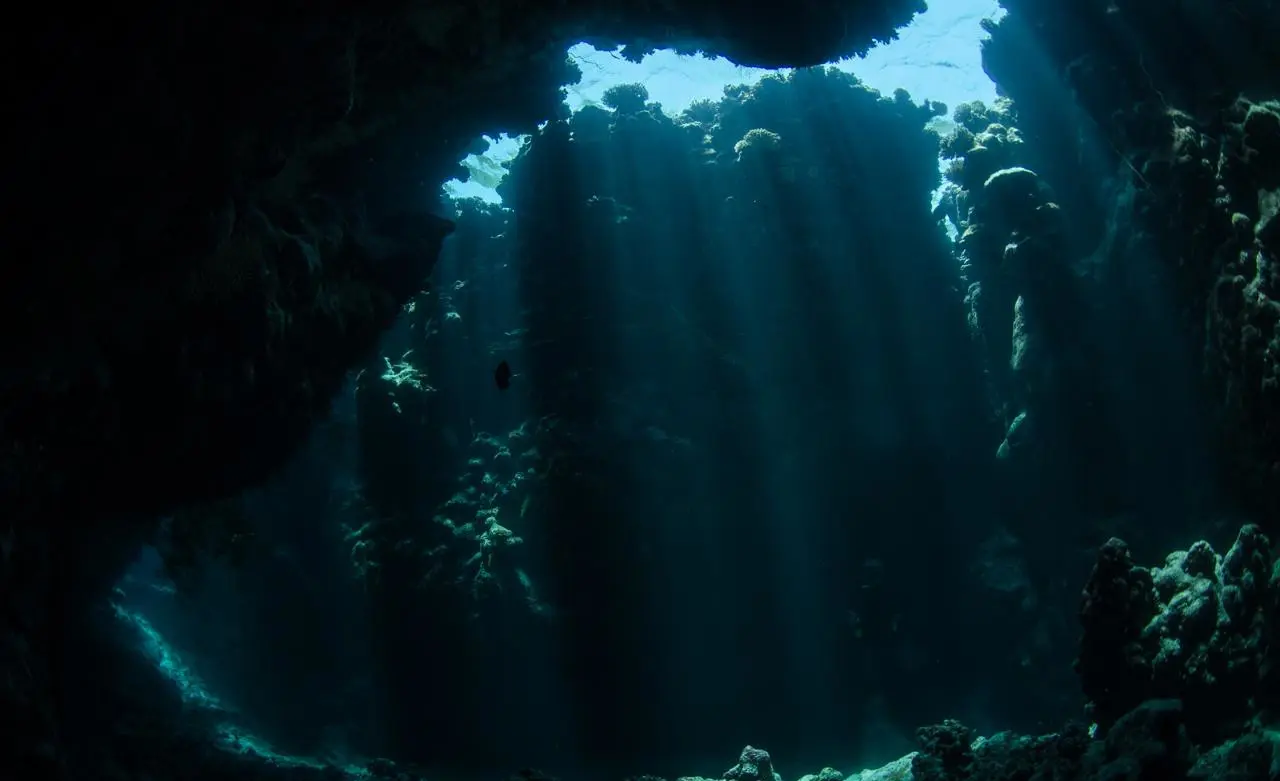 Claudia Reef