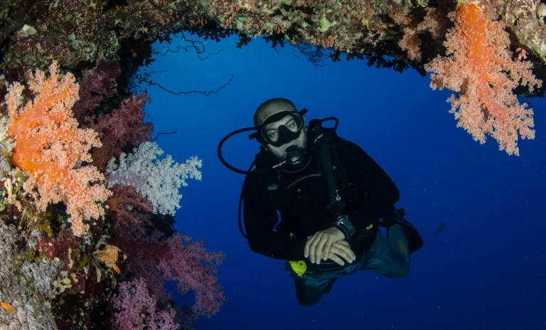 Red Sea Diving
