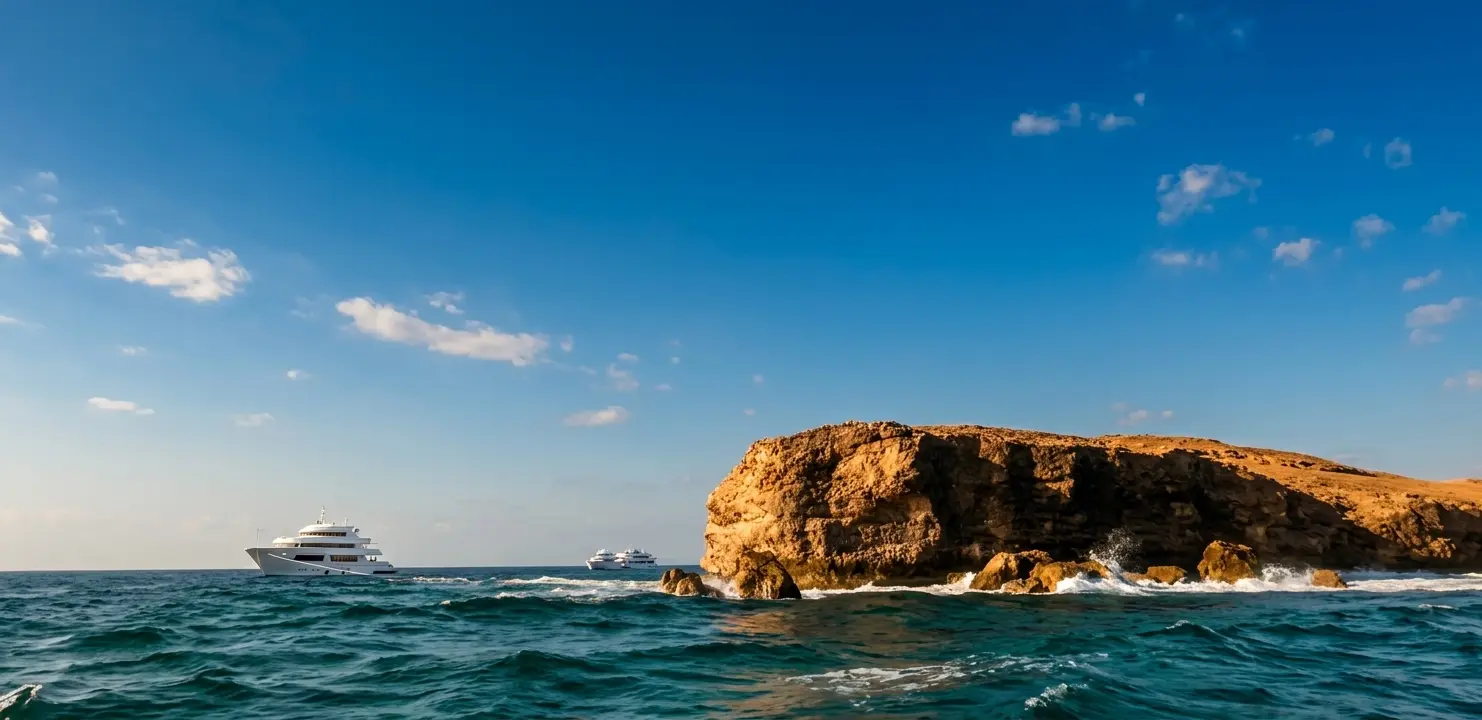 Rocky Island, Egypt: The Ultimate Diving Guide to the Red Sea’s Wildest Reef