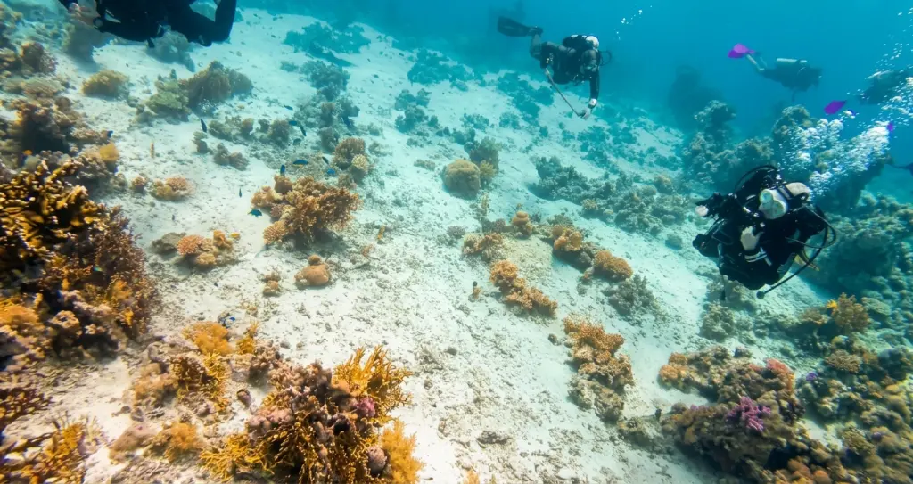 Woodhouse Reef Egypt Diving