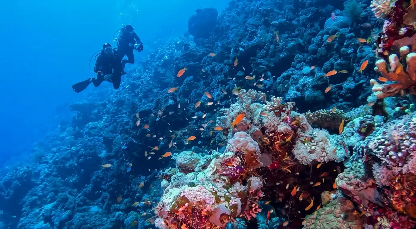 Zabargad Island Diving